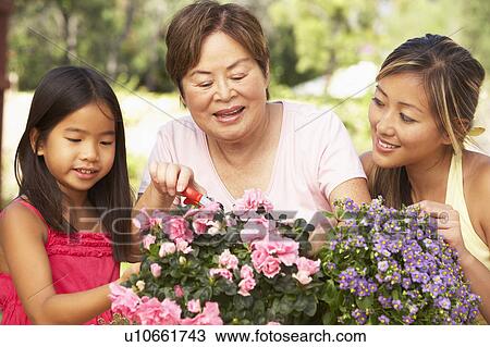 Stock Image - Granddaughter With Grandmother And Mother Gardening Together. Fotosearch