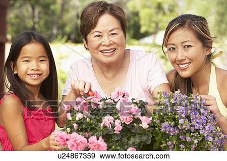 Granddaughter With Grandmother And Mother Gardening Together View Large Photo Image Stock Photo - Granddaughter With Grandmother And Mother Gardening Together. Fotosearch