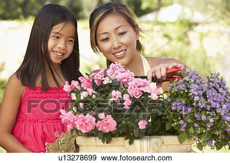 Mother And Daughter Gardening Together View Large Photo Image Stock Photo - Mother And Daughter Gardening Together. Fotosearch