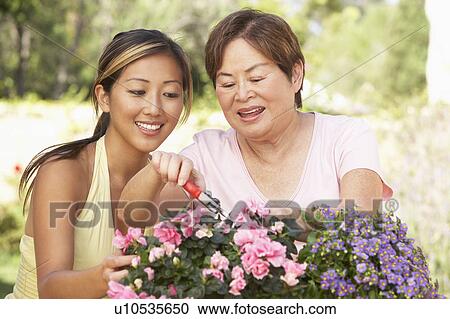 Mother With Adult Daughter Gardening Together View Large Photo Image Stock Image - Mother With Adult Daughter Gardening Together. Fotosearch