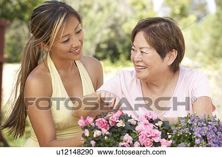 Mother With Adult Daughter Gardening Together View Large Photo Image Stock Image - Mother With Adult Daughter Gardening Together. Fotosearch