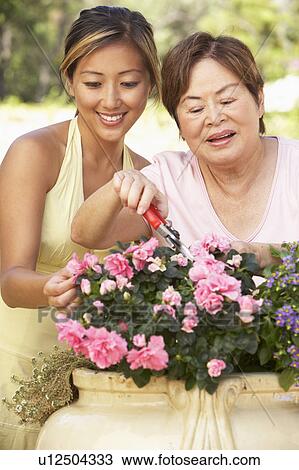Stock Image - Mother With Adult Daughter Gardening Together. Fotosearch