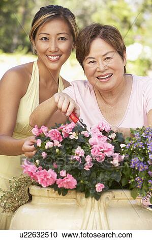 Stock Image - Mother With Adult Daughter Gardening Together. Fotosearch