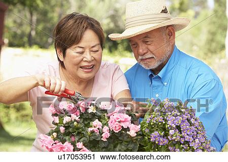 Stock Image - Senior Couple Gardening Together. Fotosearch
