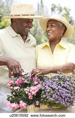 Senior Couple Gardening Together View Large Photo Image Stock Image - Senior Couple Gardening Together. Fotosearch