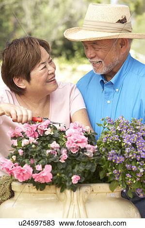 Stock Image - Senior Couple Gardening Together. Fotosearch