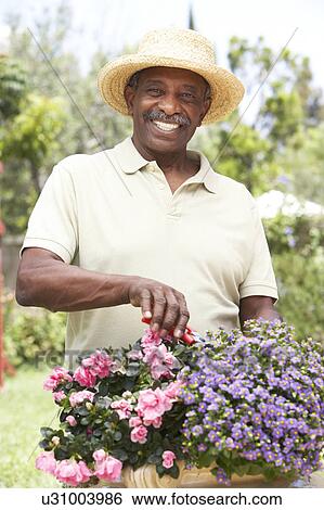 Senior Man Gardening View Large Photo Image Stock Photograph - Senior Man Gardening. Fotosearch