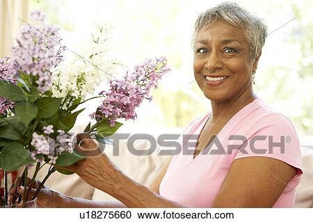 Senior Woman Flower Arranging At Home View Large Photo Image Stock Image - Senior Woman Flower Arranging At Home. Fotosearch