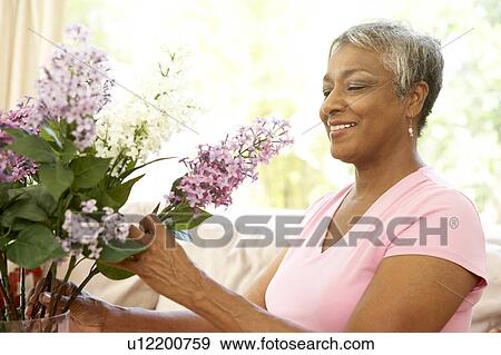 Senior Woman Flower Arranging At Home View Large Photo Image Stock Photo - Senior Woman Flower Arranging At Home. Fotosearch