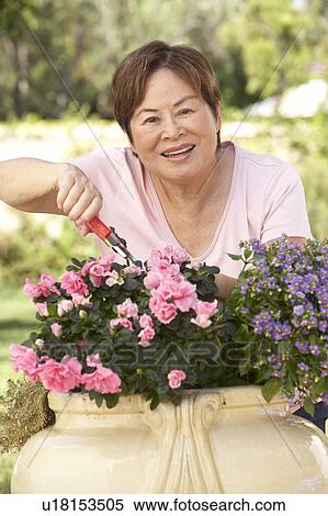 Stock Photography - Senior Woman Gardening. Fotosearch