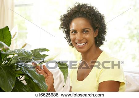 Woman Looking After Houseplant View Large Photo Image Stock Photograph - Woman Looking After Houseplant. Fotosearch