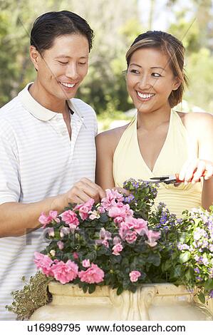 Stock Photography - Young Couple Working In Garden. Fotosearch