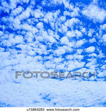 clouds, a sunny day, a clear day, a fine day, white clouds, blue sky View Large Photo Image Stock Image - clouds, a sunny day, a clear day, a fine day, white clouds, blue sky. Fotosearch