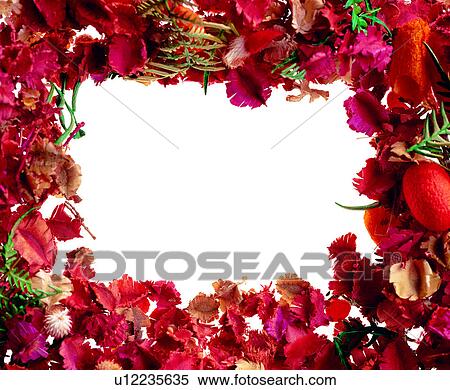 decoration, decoration, flower, square, dry flower, frame View Large Photo Image Stock Photography - decoration, decoration, flower, square, dry flower, frame. Fotosearch