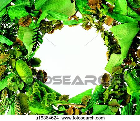 Picture - decoration, flower, dry flower, green frame, round shape, frame. Fotosearch