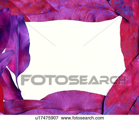 decoration, leaves, nervure, decoration, square, red frame View Large Photo Image Stock Photo - decoration, leaves, nervure, decoration, square, red frame. Fotosearch