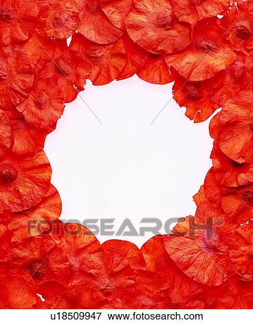Stock Photo - decoration, round shape, paper, orange frame, frame. Fotosearch