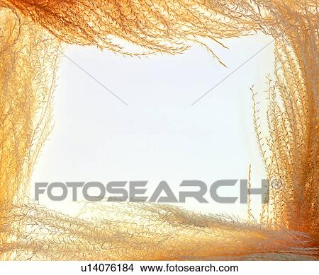 decoration, square, decoration, yellow frame, frame View Large Photo Image Picture - decoration, square, decoration, yellow frame, frame. Fotosearch