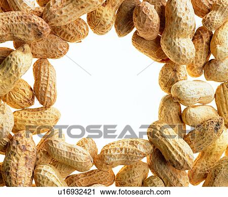 decoration, yellow frame, decoration, frame, peanut View Large Photo Image Stock Image - decoration, yellow frame, decoration, frame, peanut. Fotosearch