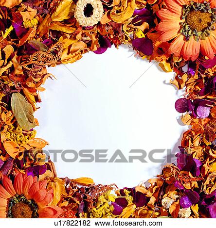Stock Image - dry flower, decoration, brown frame, decoration, flower, frame. Fotosearch