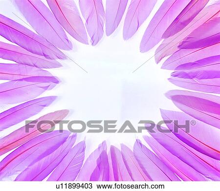 feathers, round shape, decoration, decoration, frame View Large Photo Image Stock Image - feathers, round shape, decoration, decoration, frame. Fotosearch