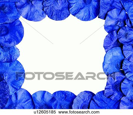 Stock Photography - frame, purple frame, decoration, decoration, square. Fotosearch
