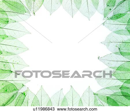 Stock Image - nervure, decoration, decoration, frame, leaves. Fotosearch