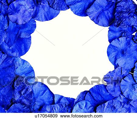 paper, decoration, purple frame, round shape, decoration, frame View Large Photo Image Stock Photo - paper, decoration, purple frame, round shape, decoration, frame. Fotosearch