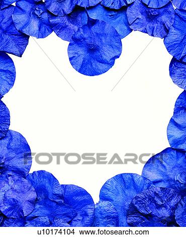 purple frame, decoration, purple frame, heart shape, decoration, frame View Large Photo Image Picture - purple frame, decoration, purple frame, heart shape, decoration, frame. Fotosearch