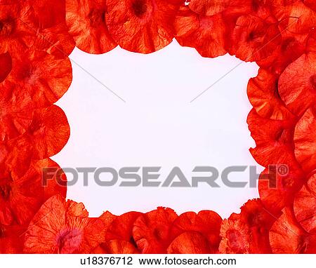 square, paper, decoration, frame, decoration View Large Photo Image Stock Image - square, paper, decoration, frame, decoration. Fotosearch