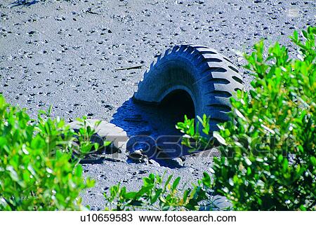 Stock Image - environment, dump, conditions, waste, environmental protection, tire, garbage. Fotosearch
