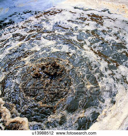 Stock Image - environmental protection, circumstances, water pollution, pollution, environment, conditions. Fotosearch