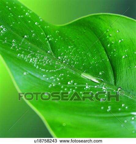 Stock Image - environmental protection, water, resources, natural resources. Fotosearch