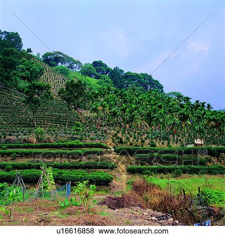 Stock Photo - resources, natural resources, environmental protection. Fotosearch
