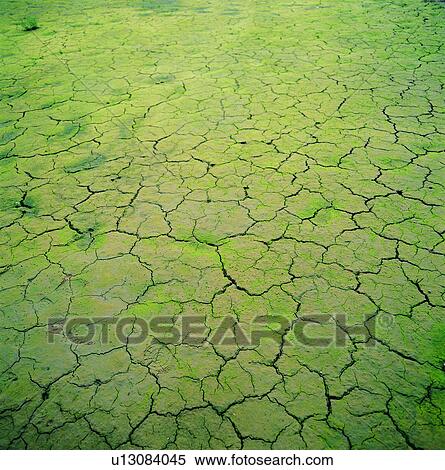 Stock Photography - wizened, shrivelled, dried-up, natural resources, withered. Fotosearch