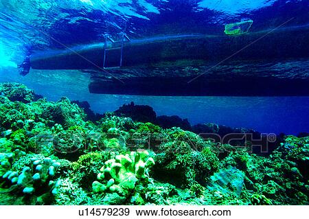 Stock Photo - Diving, Blue, Diving Vacation, Shadow of diving boat, Sea, Ocean. Fotosearch