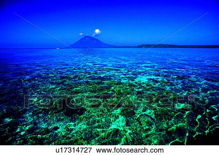 Diving, Sea, Coral reef, Diving Vacation, Ocean, Blue, Nature landscape View Large Photo Image Stock Photo - Diving, Sea, Coral reef, Diving Vacation, Ocean, Blue, Nature landscape. Fotosearch