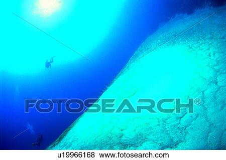 Diving Vacation, Ocean, People, Diver and Gardeneel, Sea, Nature landscape, Diving View Large Photo Image Stock Photo - Diving Vacation, Ocean, People, Diver and Gardeneel, Sea, Nature landscape, Diving. Fotosearch