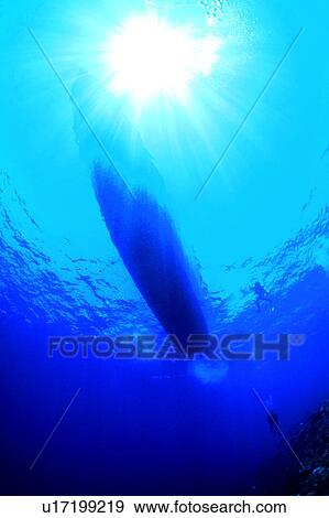 Diving Vacation, Vessel, Fish, Ocean, Diving, Shadow of diving boat coral, Sea View Large Photo Image Stock Photo - Diving Vacation, Vessel, Fish, Ocean, Diving, Shadow of diving boat coral, Sea. Fotosearch