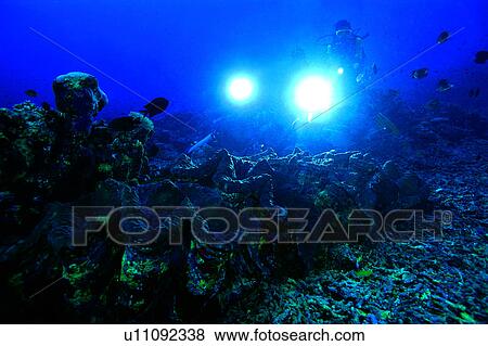 Ocean, Fish, Sea, Underwater Camera Light, Diving Vacation, Diving, Blue View Large Photo Image Stock Photo - Ocean, Fish, Sea, Underwater Camera Light, Diving Vacation, Diving, Blue. Fotosearch