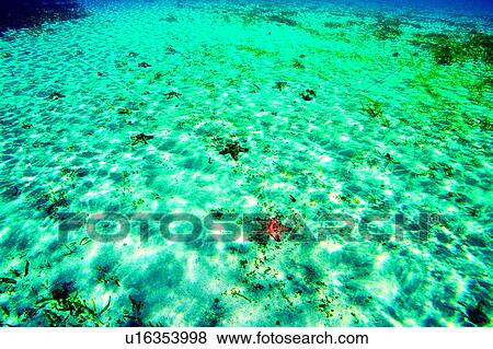 Ocean, Sea, Nature landscape, Diving Vacation, Blue, Sunlight in the sand, Sand View Large Photo Image Stock Photo - Ocean, Sea, Nature landscape, Diving Vacation, Blue, Sunlight in the sand, Sand. Fotosearch