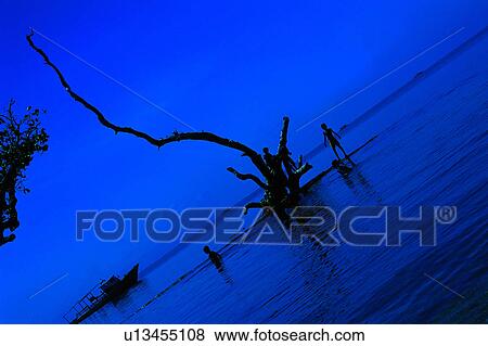 Ocean, Sea, Nature landscape, Tree, Beach, Diving Vacation, Blue View Large Photo Image Stock Photo - Ocean, Sea, Nature landscape, Tree, Beach, Diving Vacation, Blue. Fotosearch