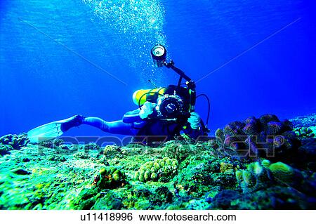 Photograph, Male, People, Ocean, Diving Vacation, Blue, Diving View Large Photo Image Stock Photograph - Photograph, Male, People, Ocean, Diving Vacation, Blue, Diving. Fotosearch