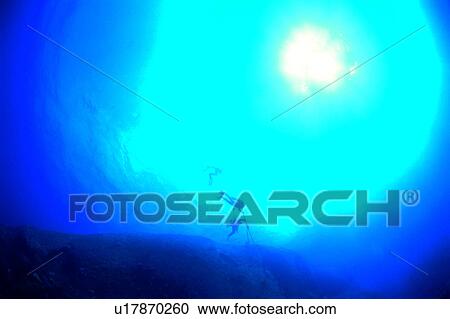 Sea, Diving, Ocean, Diving Vacation, Nature landscape, Diver in Blue world, Blue View Large Photo Image Stock Image - Sea, Diving, Ocean, Diving Vacation, Nature landscape, Diver in Blue world, Blue. Fotosearch