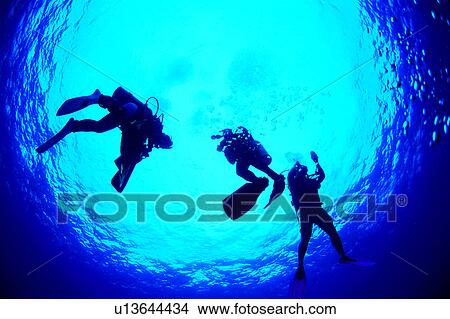 Picture - Walking in the water, Diving, Diving Vacation, Nature landscape, Ocean, Blue, Crowd. Fotosearch