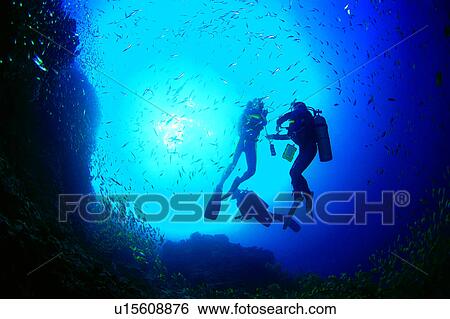Stock Photograph - Walking in the water, Ocean, Nature landscape, Sea, Crowd, Diving, Blue. Fotosearch