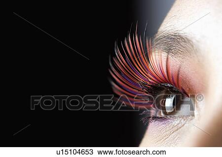 Young woman wearing false eyelash View Large Photo Image Stock Image - Young woman wearing false eyelash. Fotosearch