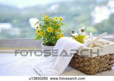 Basket with towel, massage oil and starfish beside pot culture View Large Photo Image Stock Photography - Basket with towel, massage oil and starfish beside pot culture. Fotosearch