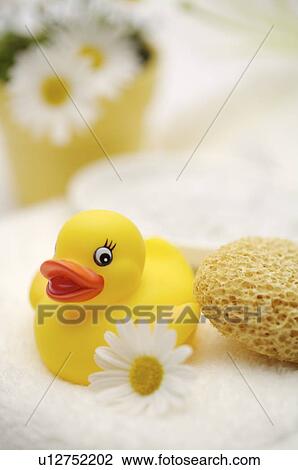 Stock Image - Close up of rubber duck, marguerites and bath sponge. Fotosearch