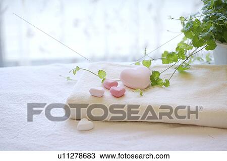 Heart shape on folded towel beside pot culture View Large Photo Image Stock Image - Heart shape on folded towel beside pot culture. Fotosearch
